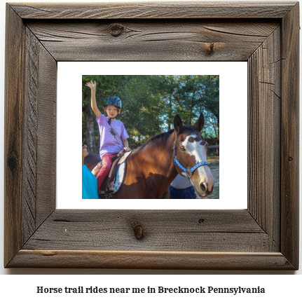 horse trail rides near me in Brecknock, Pennsylvania